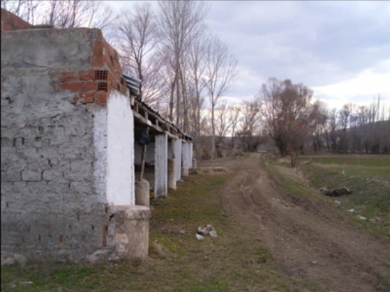 Zile Çiftlikköy Köyü Resimleri 1