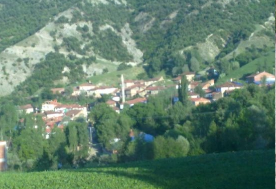 Zile Derebaşı Köyü Resimleri 1