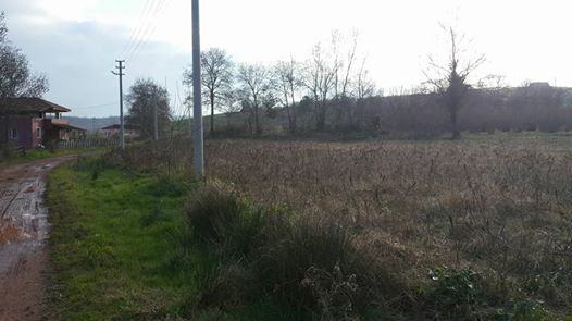 Kaynarca Karamanlar Köyü Resimleri 6