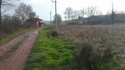 Kaynarca Karamanlar Köyü Resimleri 7