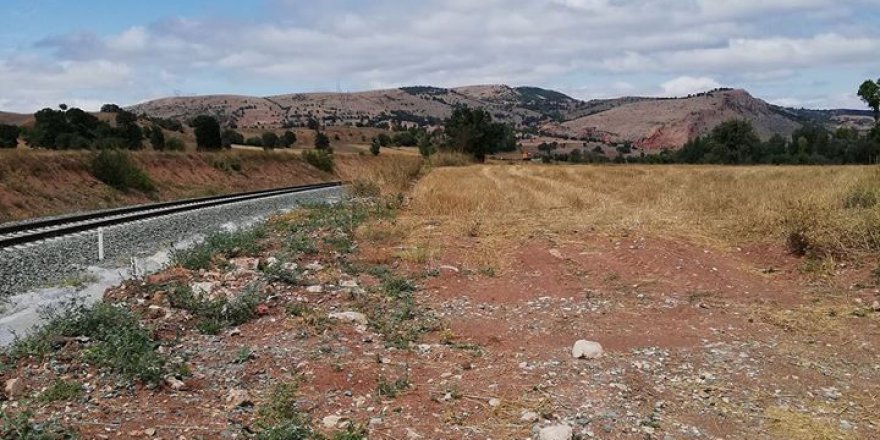 Zile Elmacık Köyü Resimleri