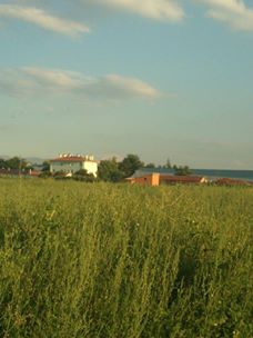 Kadınhanı Kurthasanlı Köyü Resimleri 2