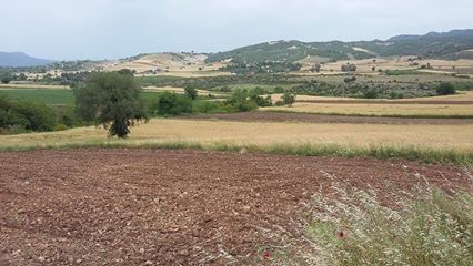 Düziçi Selverler Köyü Resimleri 2