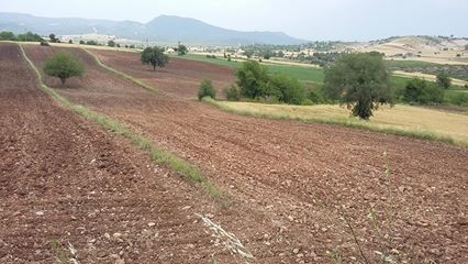 Düziçi Selverler Köyü Resimleri 3