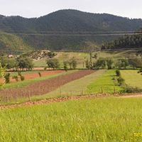 Düziçi Yenifarsak Köyü Resimleri 2