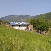 Düziçi Yenifarsak Köyü Resimleri 3