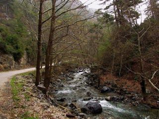 Düziçi Yeşilyurt Köyü Resimleri 1