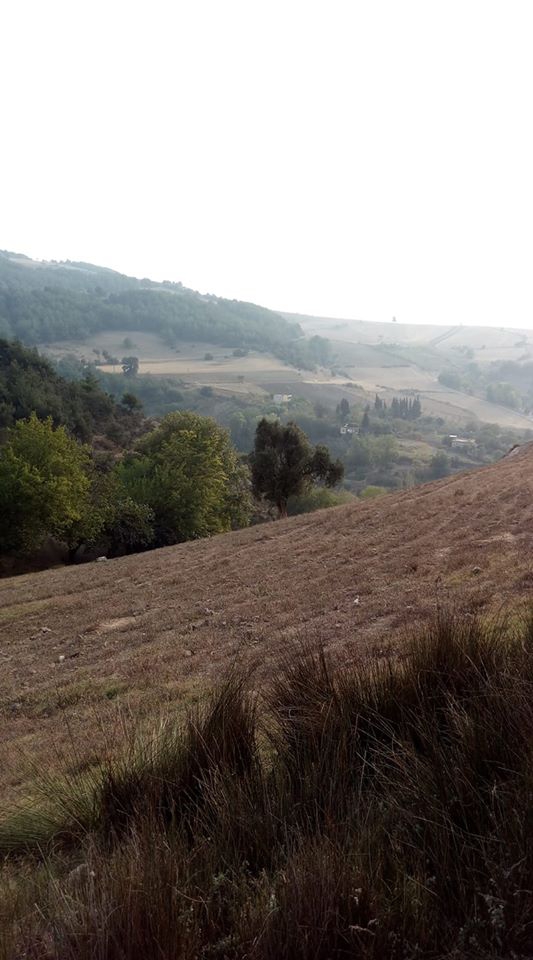 Hasanbeyli Çolaklı Köyü Resimleri 2