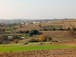 Kaynarca Kertil Köyü Resimleri 2