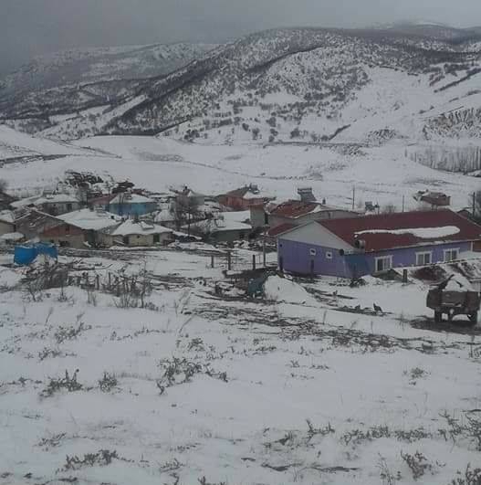 Zile Göçenli Köyü Resimleri 2