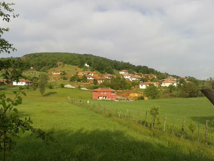 Zile Gölcük Köyü Resimleri 3