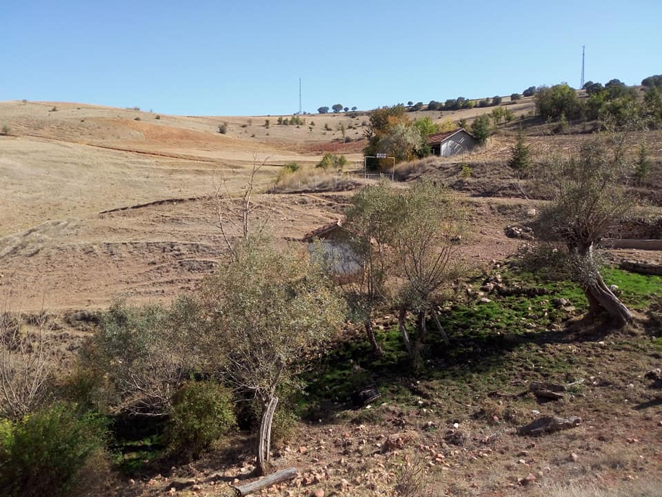 Zile Güngörmez Köyü Resimleri 5