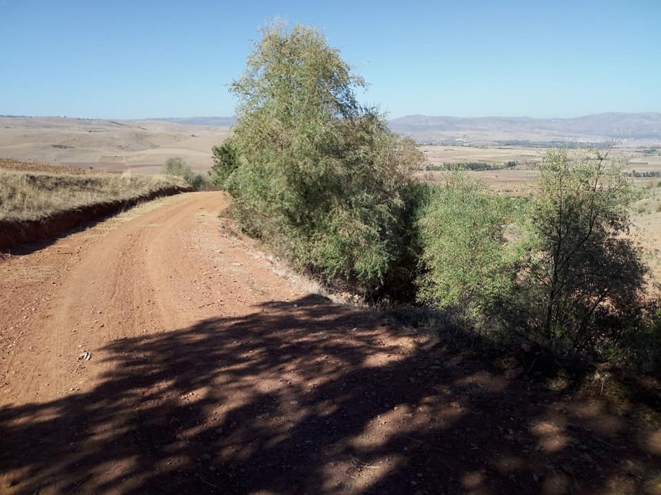 Zile Güngörmez Köyü Resimleri 6