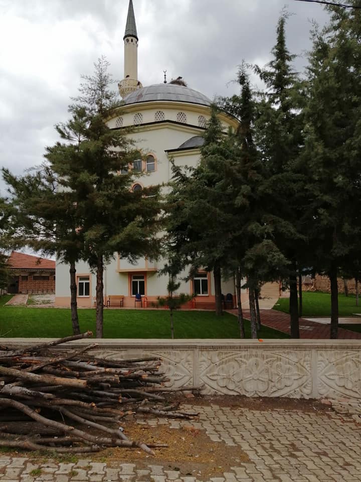 Zile Hacılar Köyü Resimleri 1