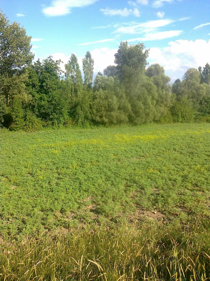 Zile İğdir Köyü Resimleri 3