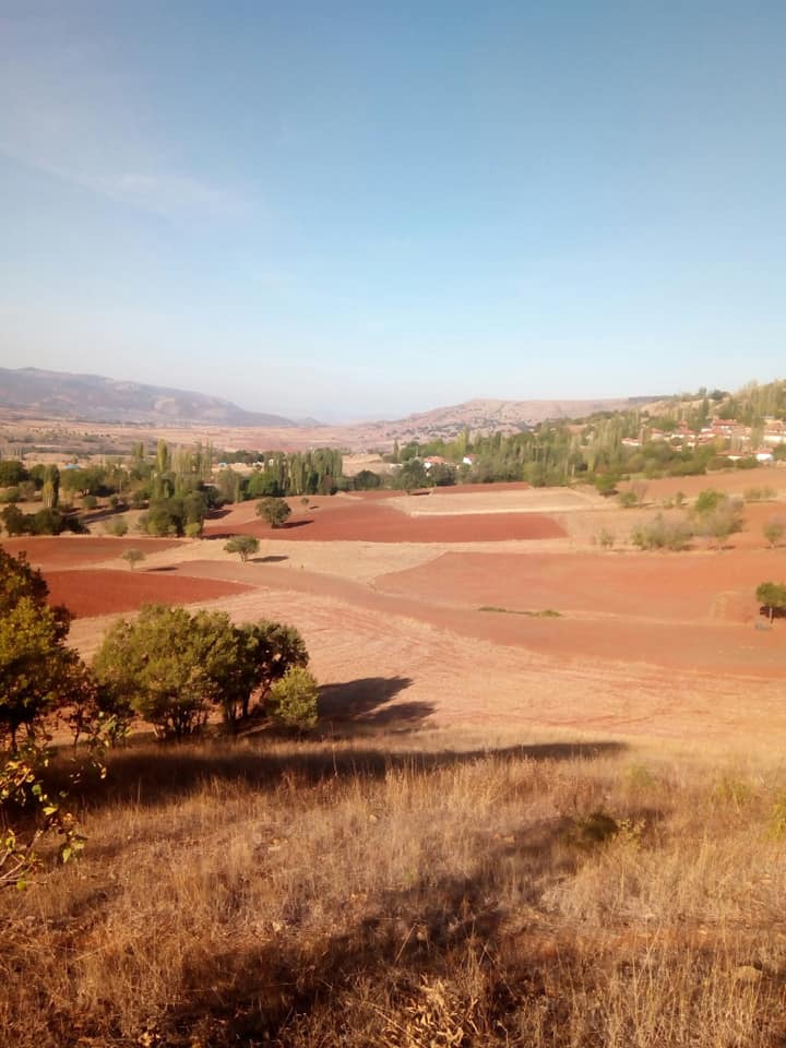 Zile Karabalçık Köyü Resimleri 4