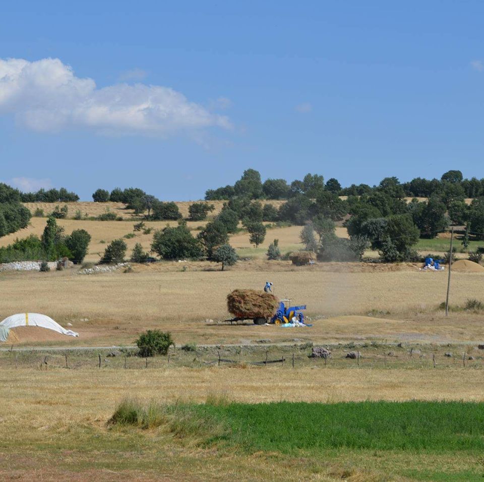 Zile Karakaya Köyü Resimleri 3