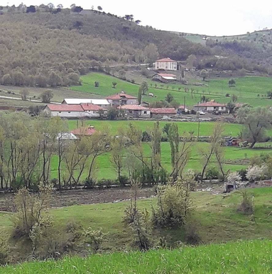 Zile Karakaya Köyü Resimleri 6