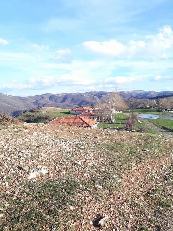 Zile Karakuzu Köyü Resimleri 2