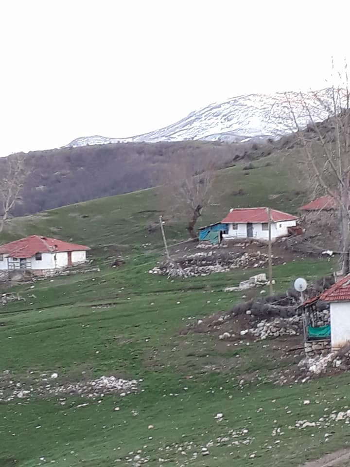 Zile Karakuzu Köyü Resimleri 4