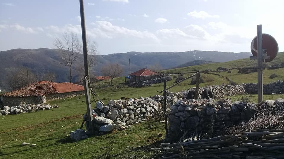 Zile Karakuzu Köyü Resimleri 6