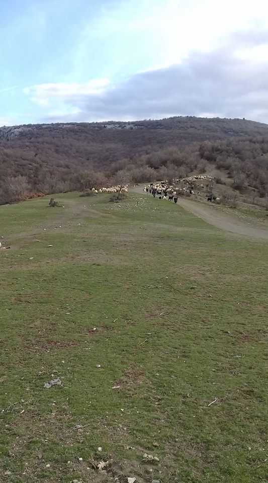 Zile Karakuzu Köyü Resimleri 7