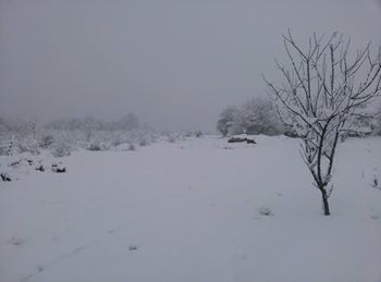 Kaynarca Kızılcaali Köyü Resimleri 6