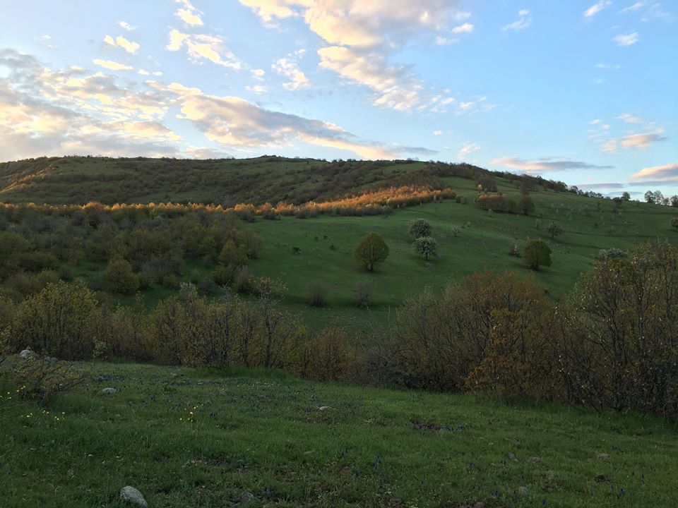 Zile Karşıpınar Köyü Resimleri 2
