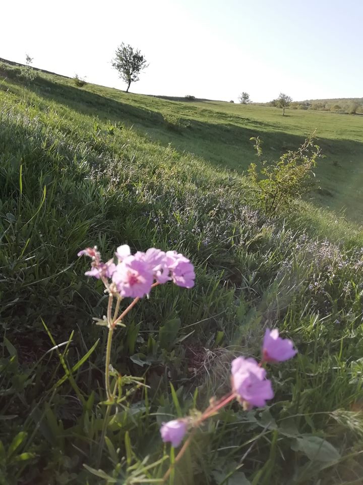 Zile Karşıpınar Köyü Resimleri 3