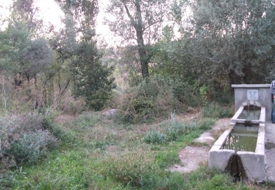 Zile Kazıklı Köyü Resimleri 2