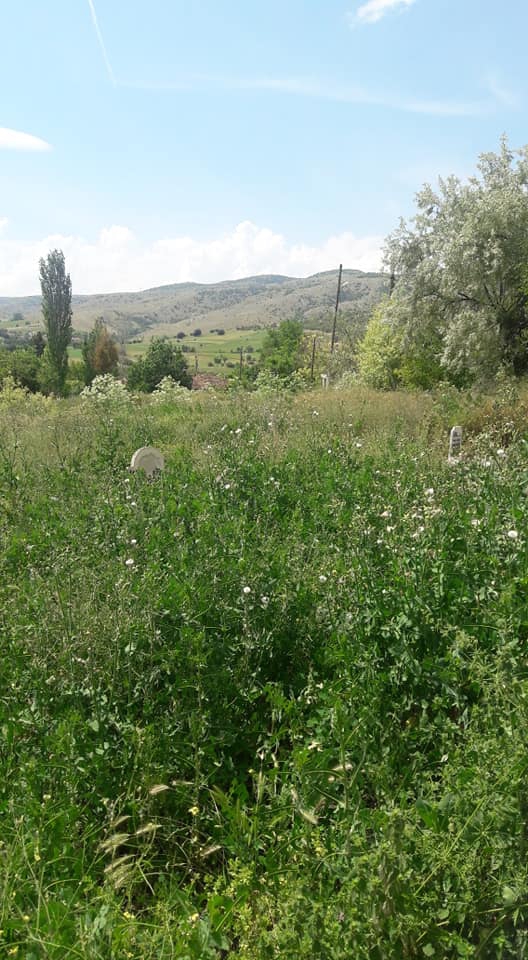 Zile Kireçli Köyü Resimleri 3