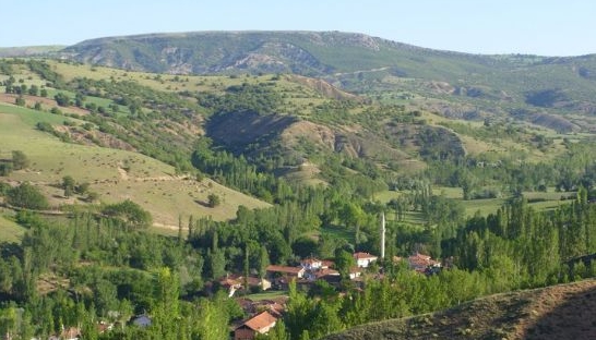 Zile Koçaş Köyü Resimleri 2