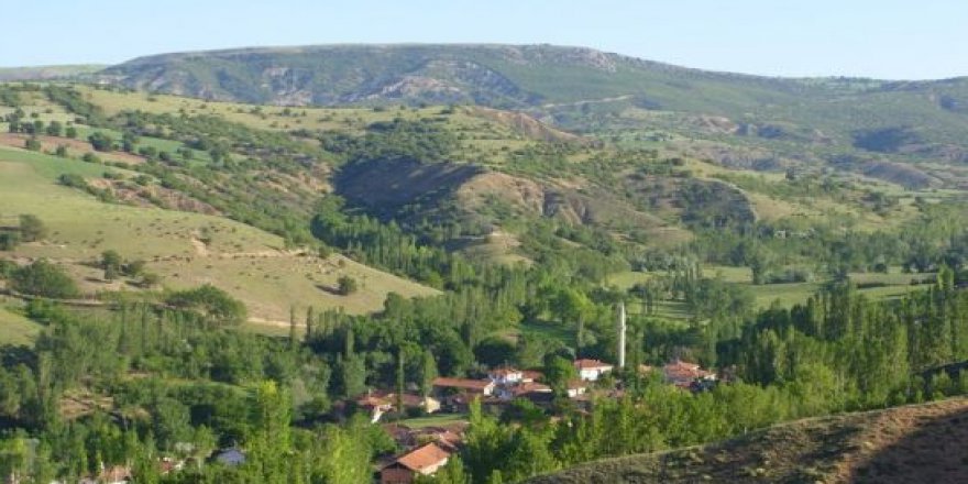 Zile Koçaş Köyü Resimleri