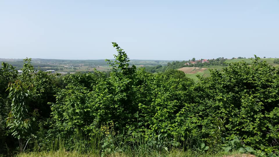 Kaynarca Kulaklı Köyü Resimleri 1
