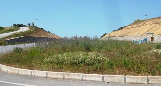 Kaynarca Küçükkaynarca Köyü Resimleri 2