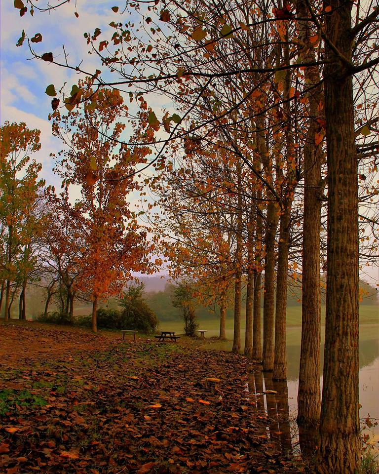 Kaynarca Müezzinler Köyü Resimleri 1