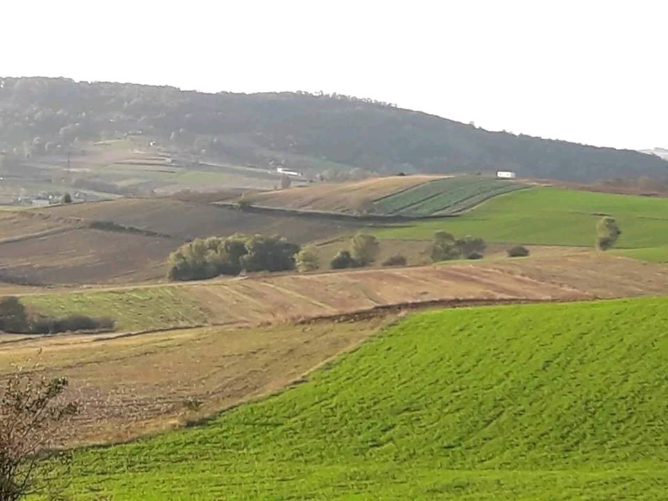 Kaynarca Müezzinler Köyü Resimleri 3