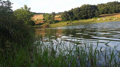 Kaynarca Müezzinler Köyü Resimleri 6