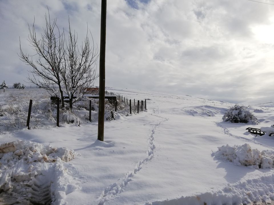 Zile Reşadiye  Köyü Resimleri 11