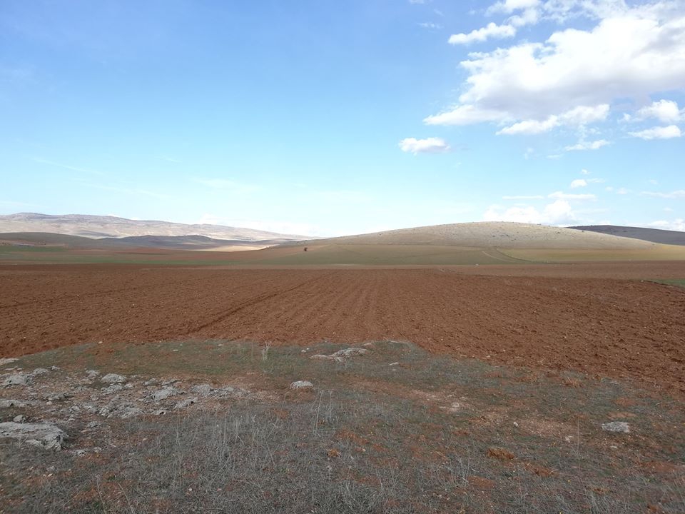 Zile Reşadiye  Köyü Resimleri 3