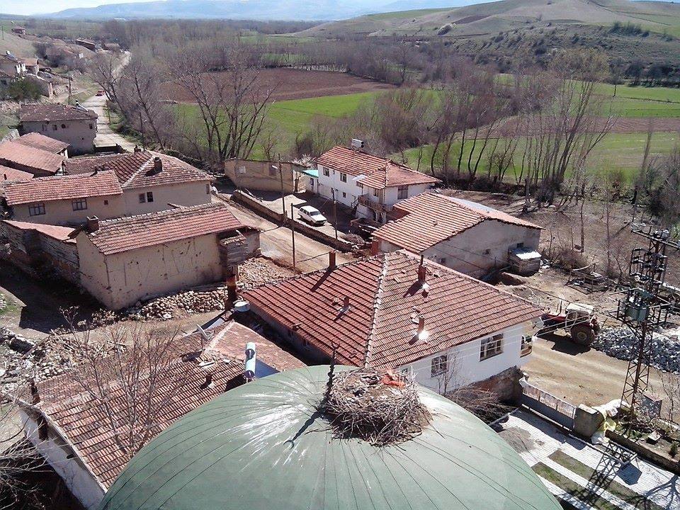 Zile Salur  Köyü Resimleri 4