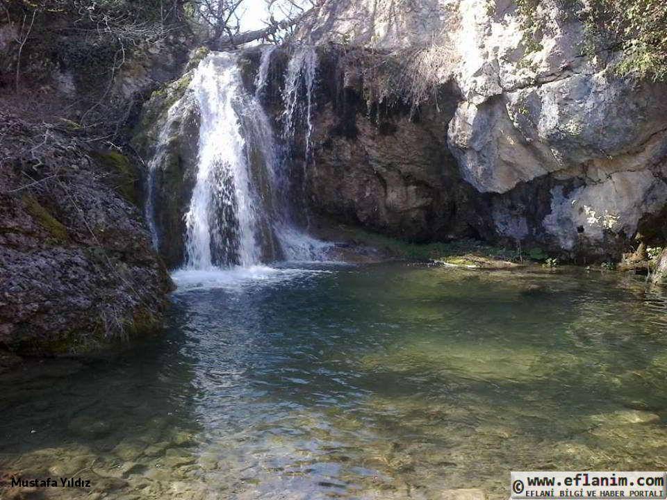 Eflani Abakolu Köyü  Resimleri 1