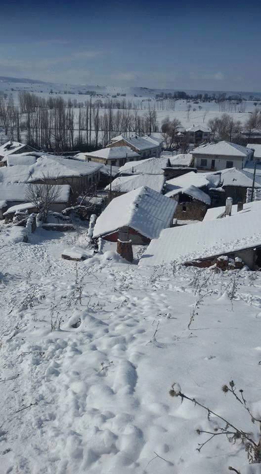 Zile Üyük Köyü Resimleri 1