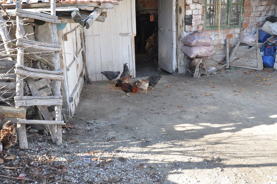 Akyurt Ahmetadil Köyü Resimleri 17