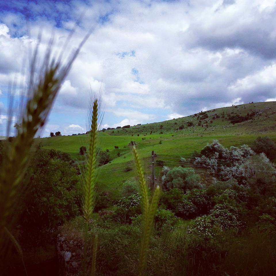 Akyurt Kozayağı Köyü Resimleri 16