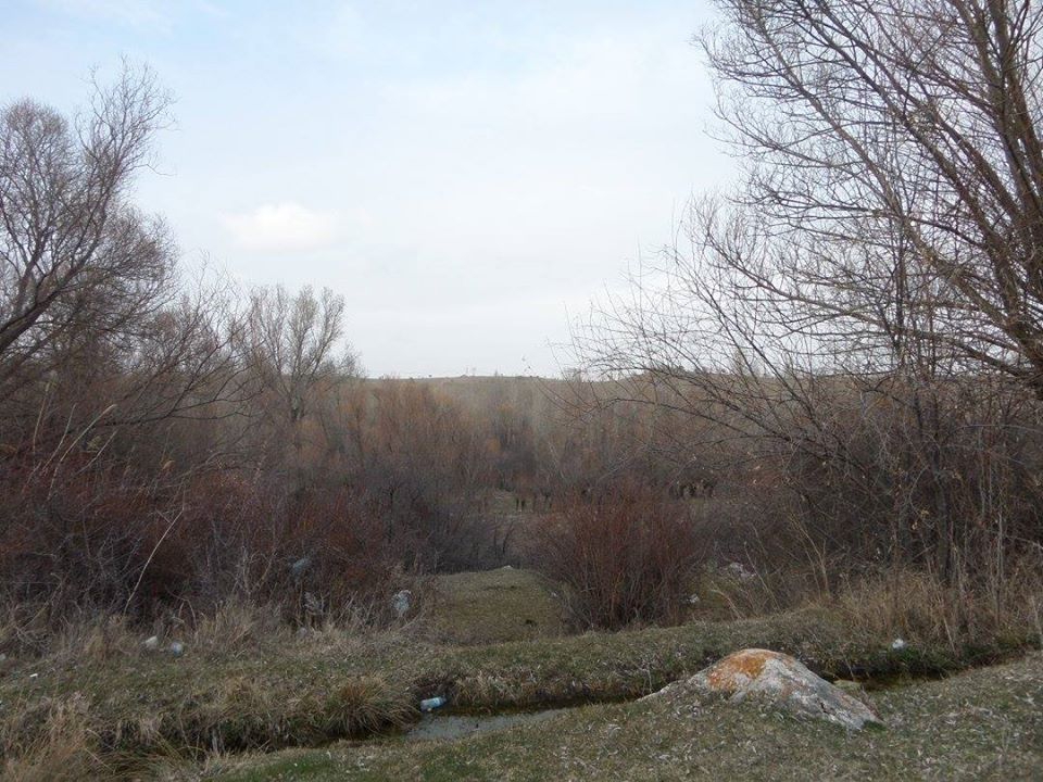 Akyurt Kozayağı Köyü Resimleri 19