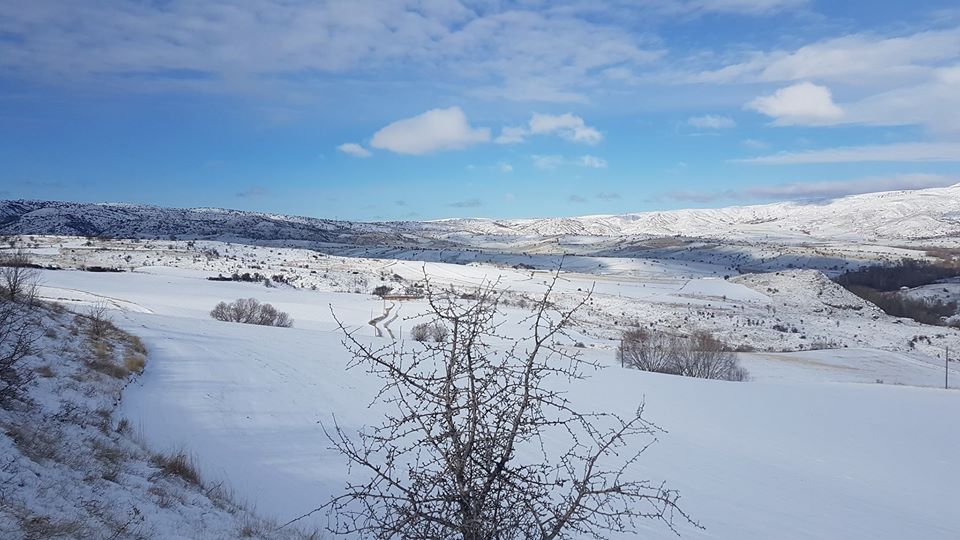 Akyurt Kozayağı Köyü Resimleri 4