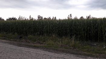 Kadirli Azaplı Köyü Resimleri 1