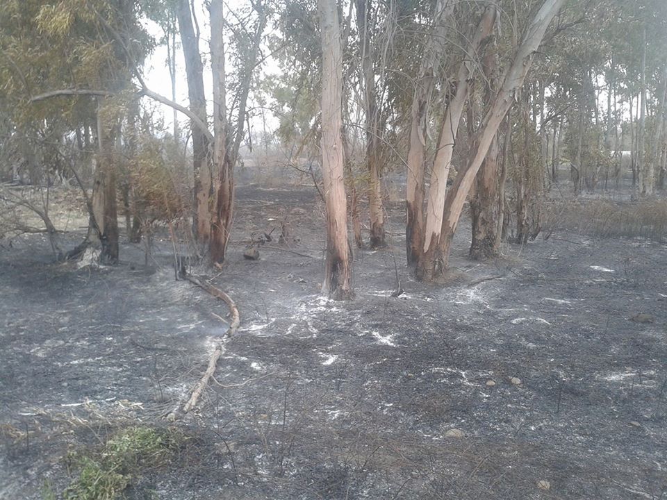 Kadirli Azaplı Köyü Resimleri 2
