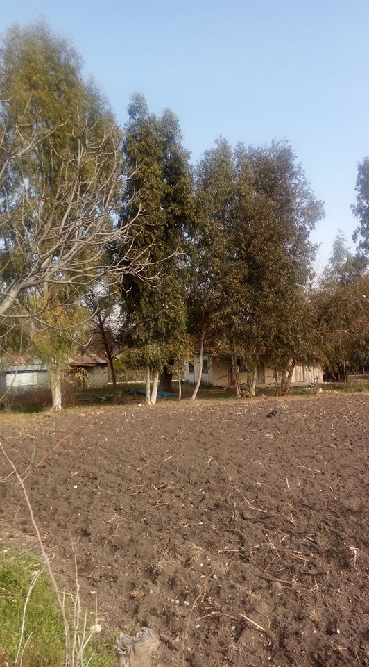 Kadirli Azaplı Köyü Resimleri 4